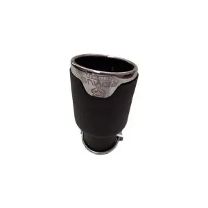 سر اگزوز ریموس
